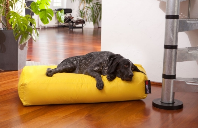 Hunde Infos & Hunde News @ Hunde-Info-Portal.de | Fr Hunde gemacht: Das Kissen „Dogbed“ ist bequem und pflegeleicht.