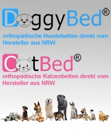 Hunde Infos & Hunde News @ Hunde-Info-Portal.de | 