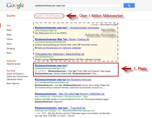 Flatrate News & Flatrate Infos | Google Platz 1 fr Projekt Rckenschmerzen was tun