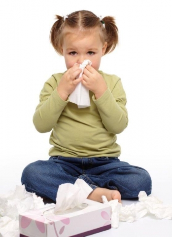 Gesundheit Infos, Gesundheit News & Gesundheit Tipps | Belastete oder  zu trockene Raumluft kann zu allergischen Reaktionen oder unangenehmen Auswirkungen auf die Atemwege fhren.
