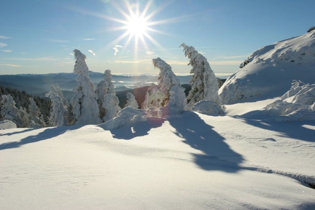 Deutsche-Politik-News.de | Winterzauber auf dem Großen Arber im Bayerischen Wald