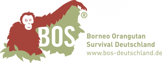 Tier Infos & Tier News @ Tier-News-247.de | Borneo Orangutan Survival  Deutschland (BOS) e.V.