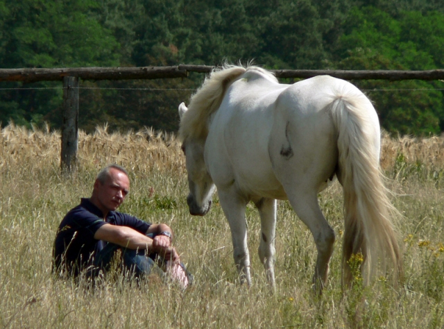 Tier Infos & Tier News @ Tier-News-247.de | Pferde als Ruhepol und Kraftquelle