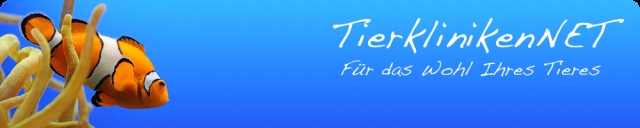 Tier Infos & Tier News @ Tier-News-247.de | Fische bei TierklinikenNet (UPA-Verlags GmbH)