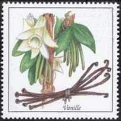 Orchideen-Seite.de - rund um die Orchidee ! | Foto: Im Online-Shop von Vanilla-Trade knnen Feinschmecker die ursprngliche mexikanische Gourmet Vanilla direkt bestellen.