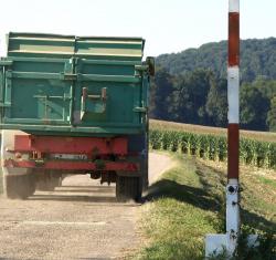 Foto: Maistransport (Foto: Proplanta). |  Landwirtschaft News & Agrarwirtschaft News @ Agrar-Center.de