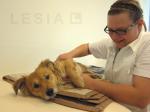 Hunde Infos & Hunde News @ Hunde-Info-Portal.de | Foto: Hier wird Hund Tobi von der Physiotherapeutin Yvonne Christophori manuell therapiert.