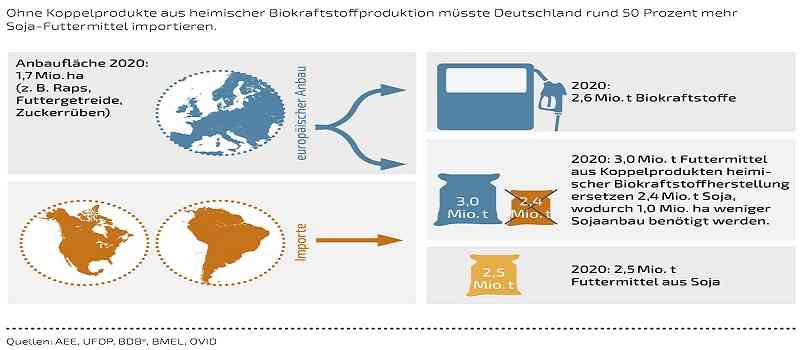 Deutsche-Politik-News.de | Abbildung Biokraftstoffe / Futtermittel