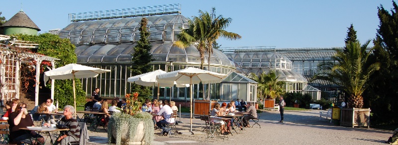 Deutsche-Politik-News.de | Botanischer Garten Berlin 2011