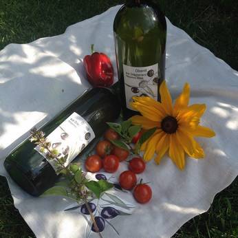 Deutsche-Politik-News.de | 