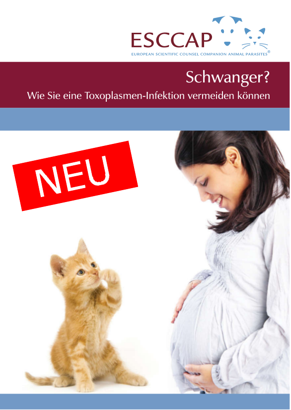 Deutsche-Politik-News.de | 