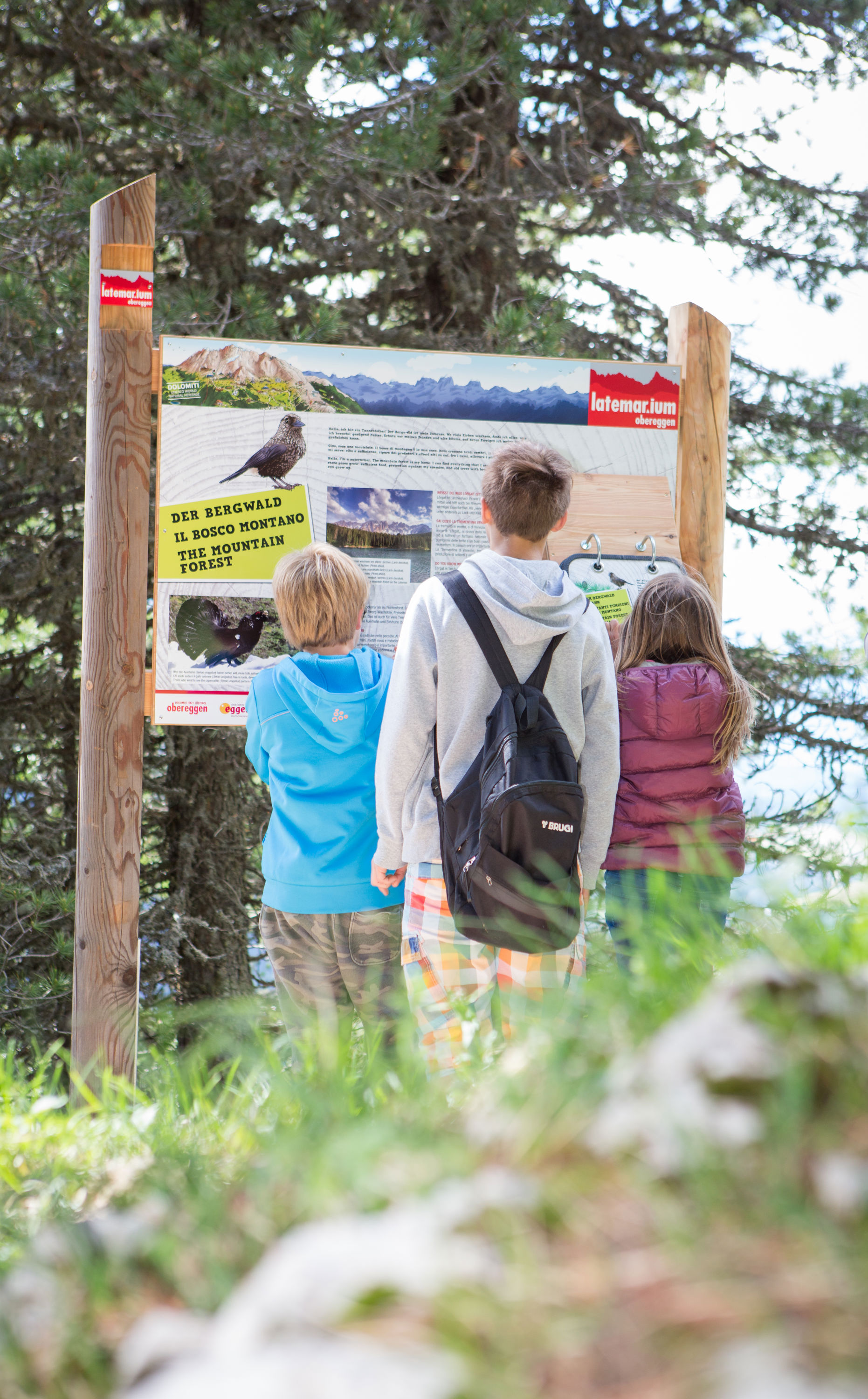 Deutsche-Politik-News.de | Das Latemarium mit seinen Interaktiven Stationen  Hotel Sonnalp in den Dolomiten