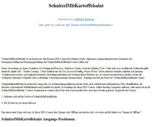 Deutsche-Politik-News.de | SchnitzelMitKartoffelsalat