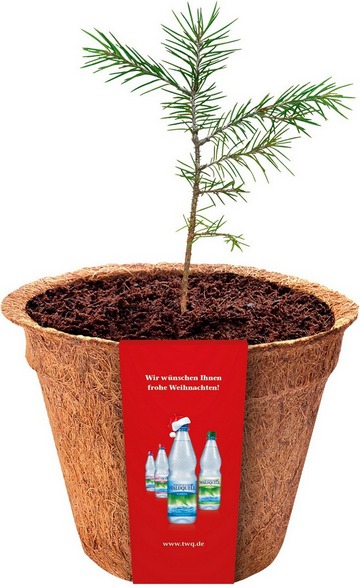 Nachhaltiges Weihnachtsgeschenk von Thringer Waldquell