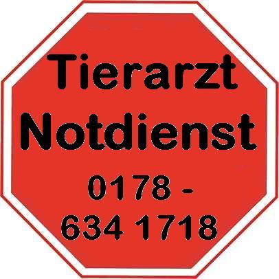 Tier Infos & Tier News @ Tier-News-247.de | Tierarzt Notdienst f�r Kleintiere & Reptilien