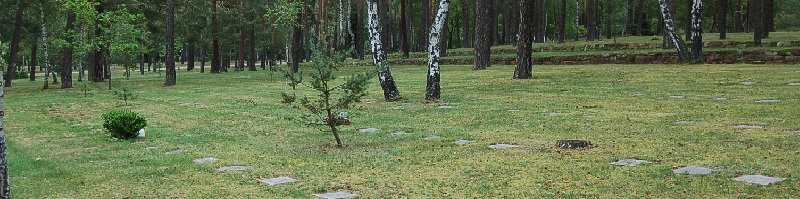 Deutsche-Politik-News.de | Waldfriedhof Halbe 2013