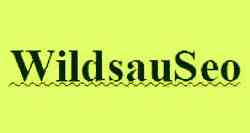 Deutsche-Politik-News.de | WildsauSeo Contest Beispiel Seite