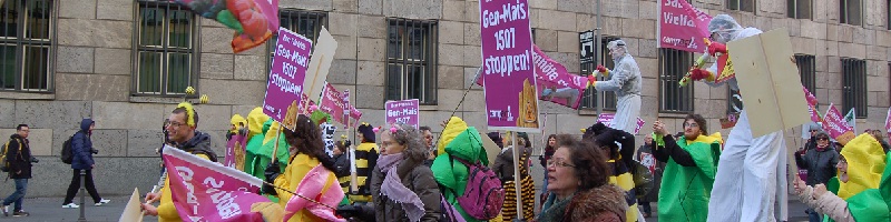 Deutsche-Politik-News.de | Wir haben es satt Demo Berlin 2014