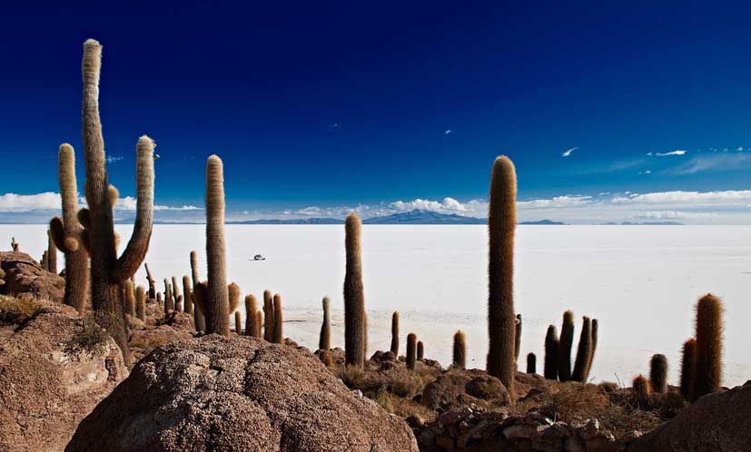 Deutsche-Politik-News.de | Salar de Uyuni