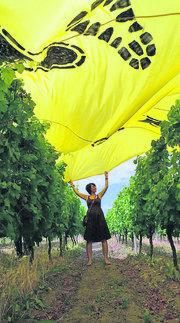 Landwirtschaft News & Agrarwirtschaft News @ Agrar-Center.de | Agrar-Center.de - rund um Agrarwirtschaft & Landwirtschaft. Foto: Muse k�sst Weinberg (FOTO: THOMAS MEINICKE).