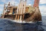 Drehbcher @ Drehbuch-Center.de | Foto: Dominique Grlitz - mit seinem bisher ehrgeizigsten Projekt – ABORA III – machte er den Versuch den Nordatlantik, der als unbefahrbar galt, mit einem Steinzeit-Segelboot zu durchqueren.