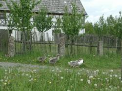 Landwirtschaft News & Agrarwirtschaft News @ Agrar-Center.de | Foto: Das Oberpf�lzer Freilandmuseum des Bezirks Oberpfalz in Neusath-Perschen bei Nabburg bietet Einblick in das l�ndlich-b�uerliche Leben fr�herer Zeit. Es stellt wie alle Freilichtmuseen eine Bildungseinrichtung mit hohem Erlebniswert dar.