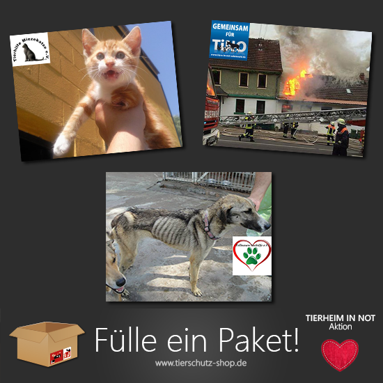 News - Central: Tierschutz-Shop: Groe Tierheim in Not Aktion