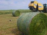 Foto: Die professionelle Entsorgung von Ballennetzen und Garnen ist seit heute kein Problem mehr.. |  Landwirtschaft News & Agrarwirtschaft News @ Agrar-Center.de