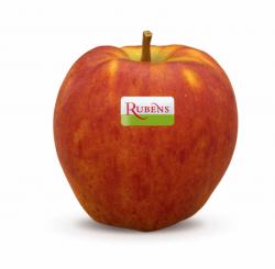 Foto: Rubens - die neue Apfelsorte mit mehr Geschmack. |  Landwirtschaft News & Agrarwirtschaft News @ Agrar-Center.de