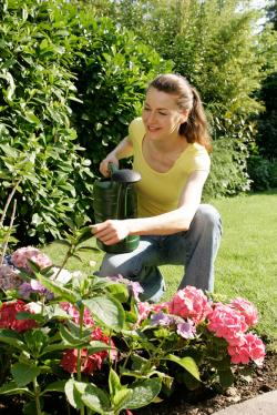 Nahrungsmittel & Ernhrung @ Lebensmittel-Page.de | Natrliche Mittel knnen im Garten zu einer schnen, schdlingsfreien Bltenpracht verhelfen. Foto: Obi.