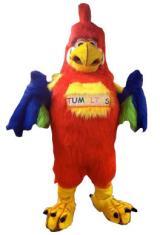 Casting Portal News | Foto: umultus der Star Papagei.