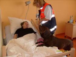SeniorInnen News & Infos @ Senioren-Page.de | Senioren-Page.de - nicht nur fr Senioren & Seniorinnen. Foto: Die Hundetherapie ist auch mit bettlgerigen Senioren mglich.