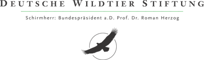 Deutsche-Politik-News.de | Deutsche Wildtier Stiftung