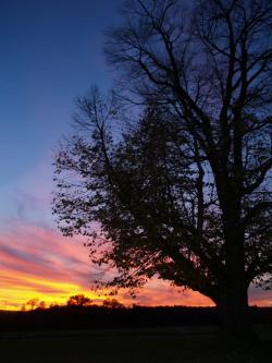 Foto: Sonnenuntergang in freier Natur (Foto: Proplanta). |  Landwirtschaft News & Agrarwirtschaft News @ Agrar-Center.de