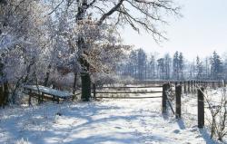 Bier-Homepage.de - Rund um's Thema Bier: Biere, Hopfen, Reinheitsgebot, Brauereien. | Bier-Homepage - Biere, Hopfen, Reinheitsgebot, Brauereien. Foto: Winter Landschaft.