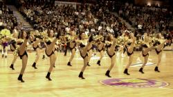 Casting Portal News | Foto: Danceteam der F�chse Berlin.