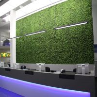 Forum News & Forum Infos & Forum Tipps | GreenWall von greenup