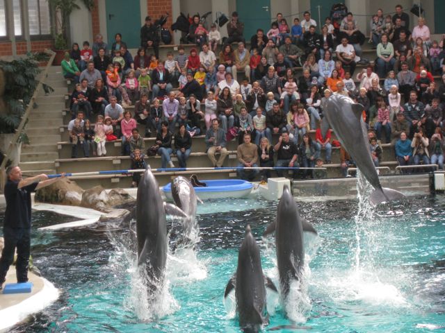 Zoo-News-247.de - Zoo Infos & Zoo Tipps |  Wal- und Delfinschutz-Forum (WDSF)