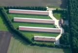 Immer mehr Brger lehnen die Frderung der Massentierhaltungen ab.  Eckard Wendt / AGfaN e.V. |  Landwirtschaft News & Agrarwirtschaft News @ Agrar-Center.de