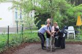 Thueringen-Infos.de - Thringen Infos & Thringen Tipps | Foto:  Wachsenburg Baugruppe