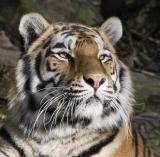 Zoo-News-247.de - Zoo Infos & Zoo Tipps | 