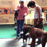 Hunde Infos & Hunde News @ Hunde-Info-Portal.de | Foto: Besucher der vergangenen CACIB