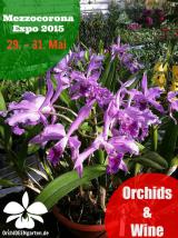 Landleben-Infos.de | Foto: Orchideengarten Karge auf der Mezzocorona Expo 2015 Orchids&Wine