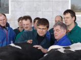 Landwirtschaft News & Agrarwirtschaft News @ Agrar-Center.de | Foto: Tierärzte und Landwirte gemeinsam im Stall