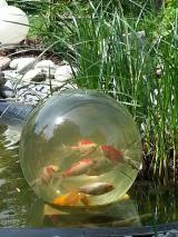 Tier Infos & Tier News @ Tier-News-247.de | Foto: Blubb - die Teichkugel bietet Fischen eine neue Perspektive!