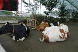 Landwirtschaft News & Agrarwirtschaft News @ Agrar-Center.de | 