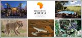 Suedafrika-News-247.de - Sdafrika Infos & Sdafrika Tipps | Foto: Abenteuer Afika