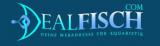 Tier Infos & Tier News @ Tier-News-247.de | Foto: Dealfisch ist eine Plattform fr Aquaristen.