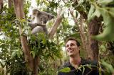 Tier Infos & Tier News @ Tier-News-247.de | Foto: In Queensland mit Koalas auf Tuchfhlung gehen.