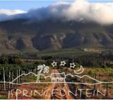 Suedafrika-News-247.de - Sdafrika Infos & Sdafrika Tipps | Foto:  Springfontein Wine Estate, Stanford, Western Cape